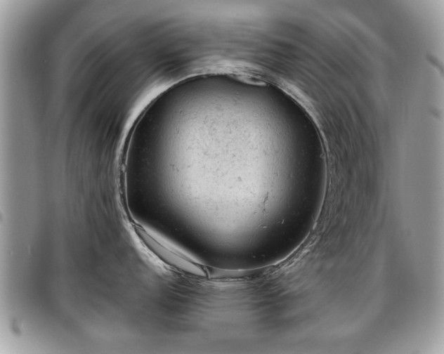 X0000096941152200802151209