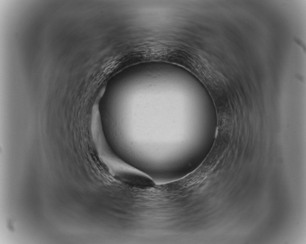 X0000096941153200802151208