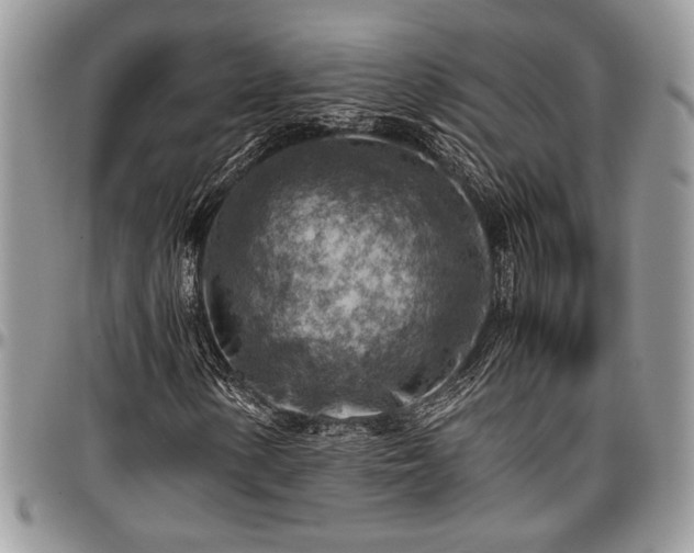 X0000096941154200802151208