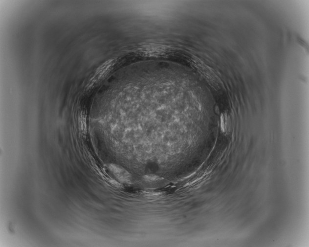 X0000096941155200802151208