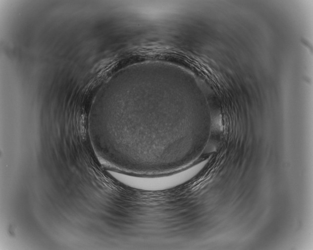X0000096941156200802151208