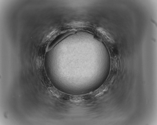X0000096941157200802151208