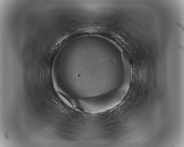 X0000096941158200802151208
