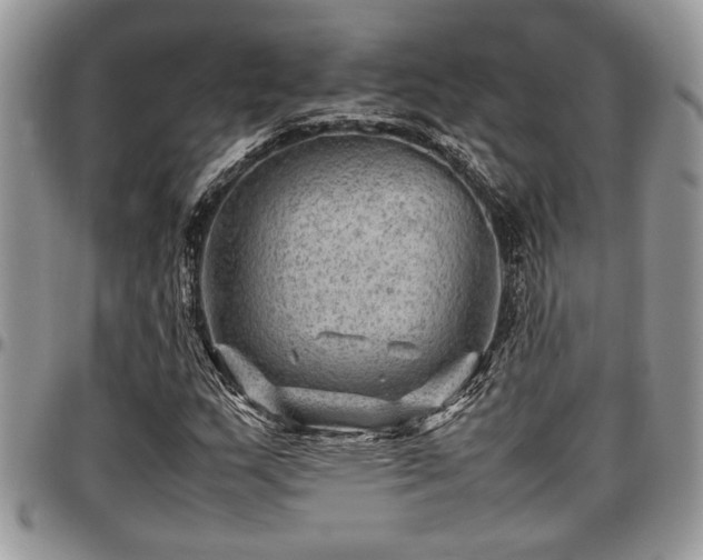 X0000096941159200802151208