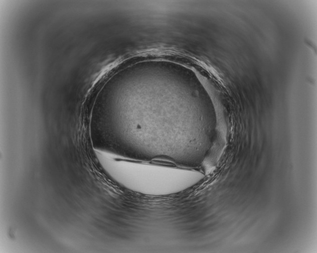 X0000096941160200802151208