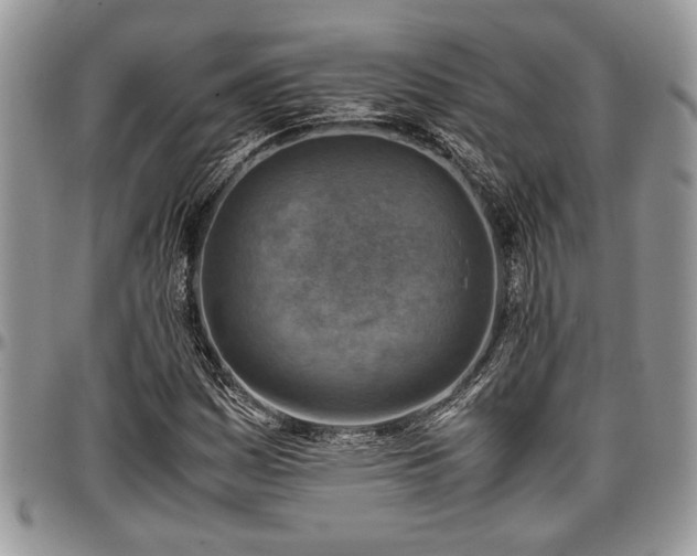 X0000096941161200802151208