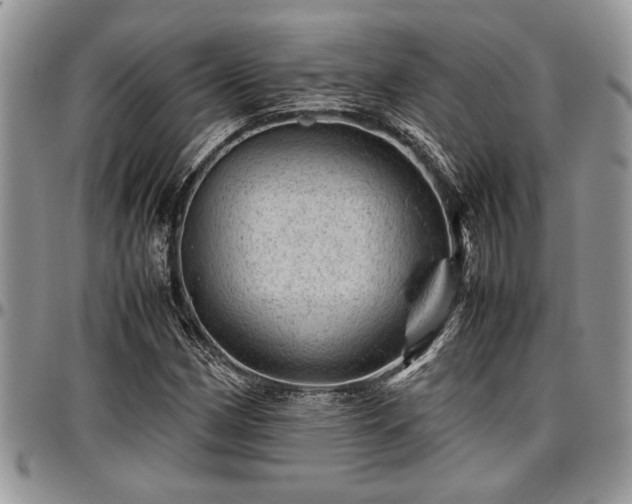 X0000096941162200802151208