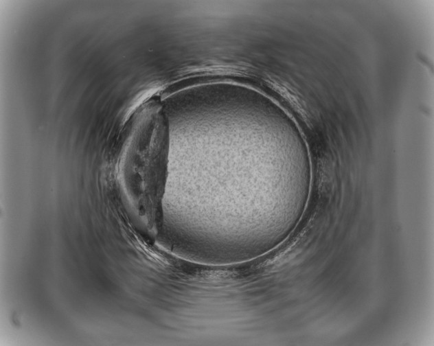 X0000096941163200802151208