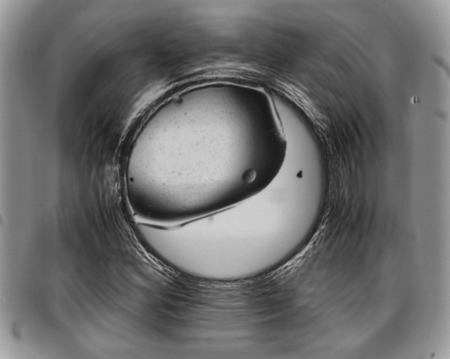 X0000096941164200802151208