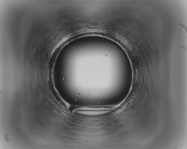 X0000096941165200802151208