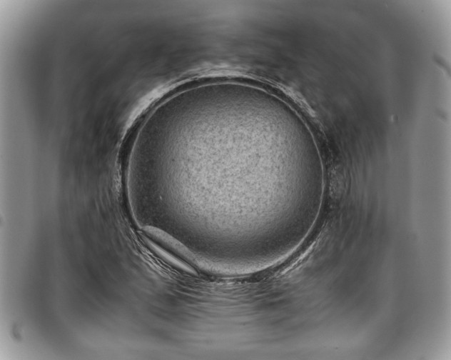 X0000096941167200802151208
