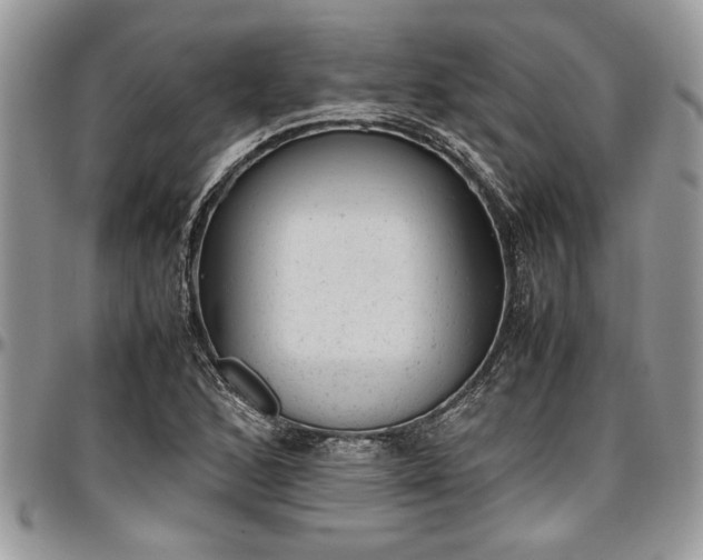 X0000096941168200802151208