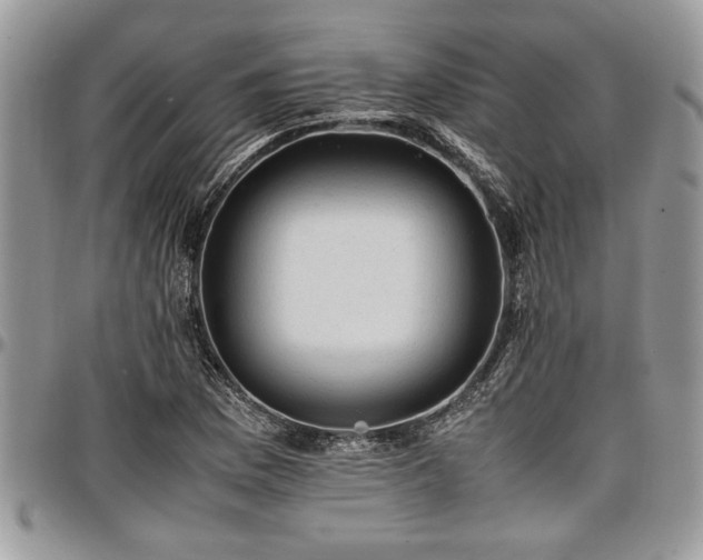 X0000096941169200802151208