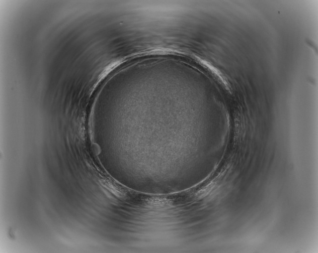 X0000096941170200802151208