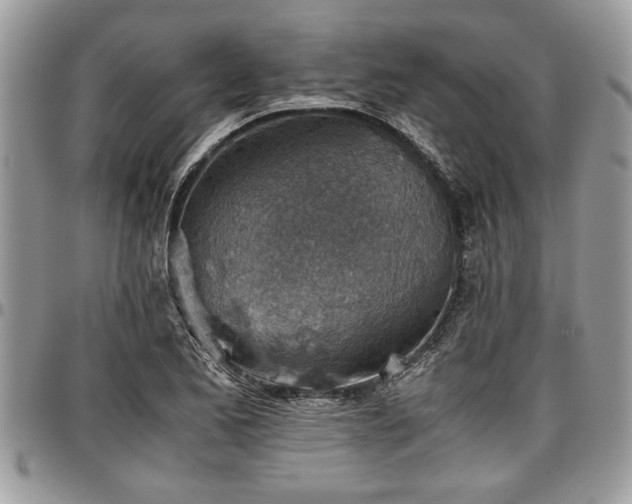 X0000096941173200802151208