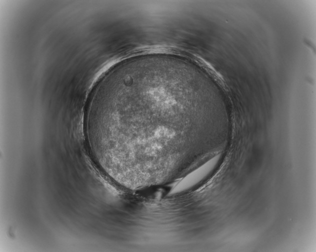 X0000096941174200802151208