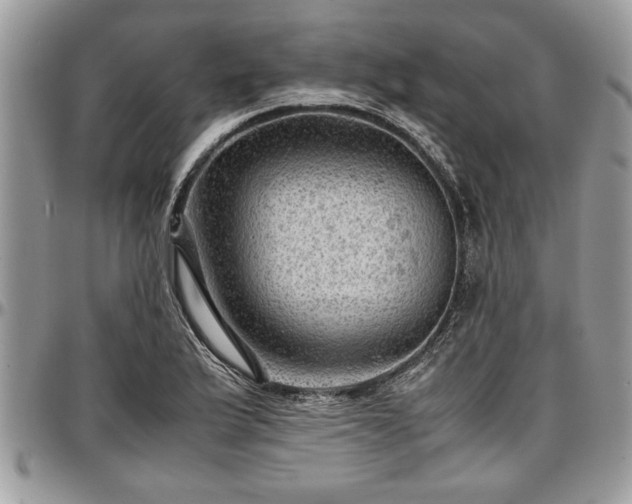 X0000096941175200802151208