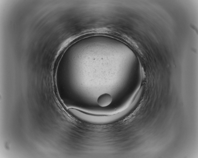 X0000096941176200802151208
