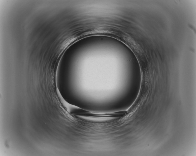 X0000096941177200802151208