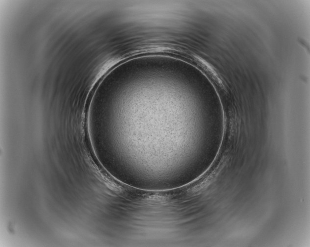 X0000096941178200802151208