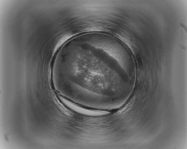 X0000096941179200802151208