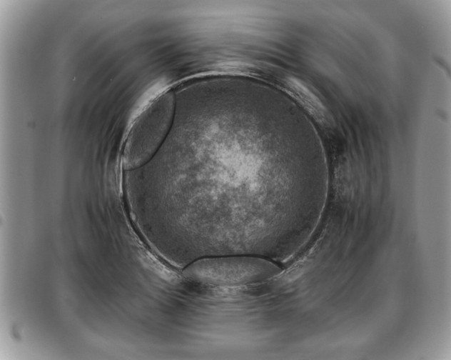X0000096941180200802151208