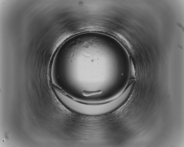 X0000096941182200802151208