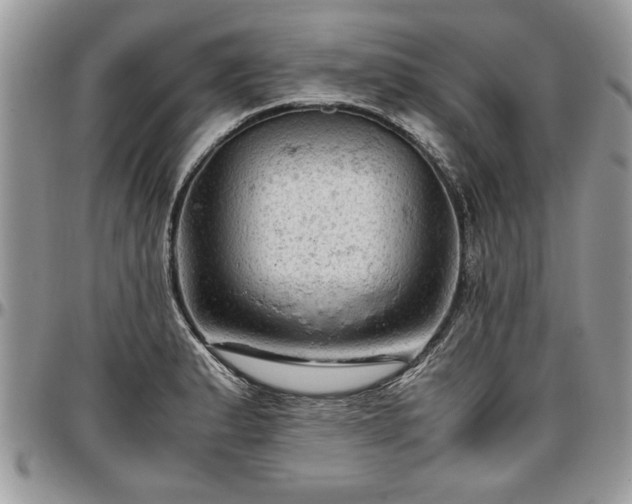 X0000096941183200802151208