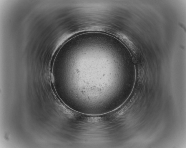 X0000096941184200802151208