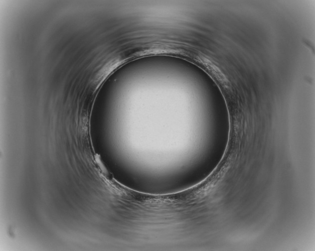 X0000096941185200802151208