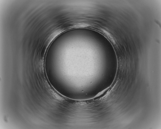 X0000096941186200802151208