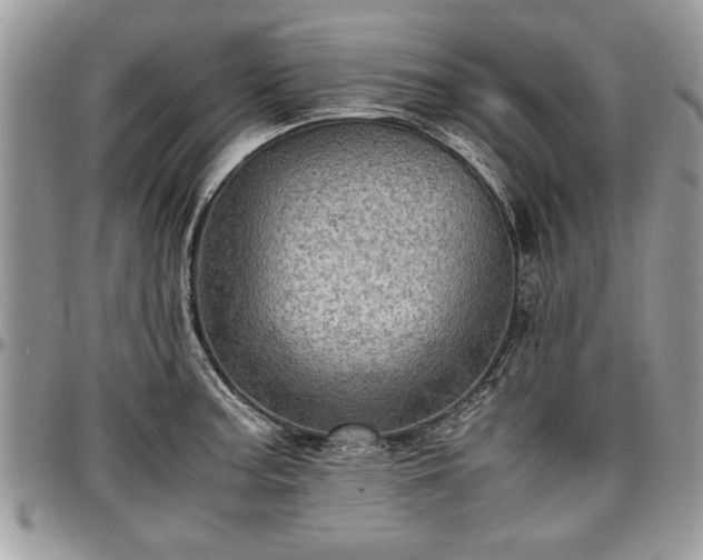 X0000096941187200802151208
