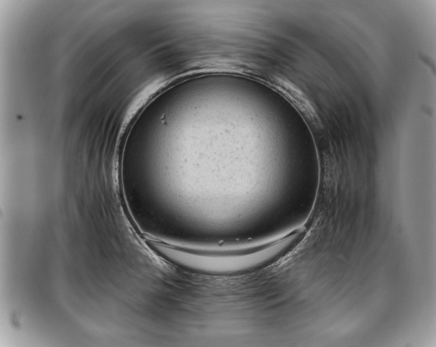 X0000096941188200802151208