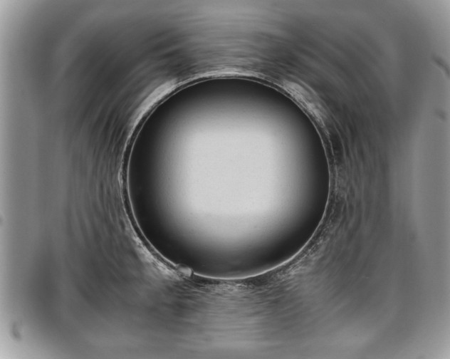 X0000096941189200802151207
