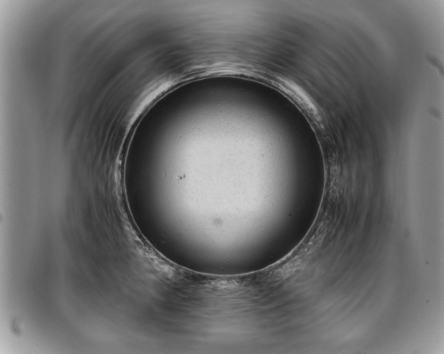 X0000096941190200802151207