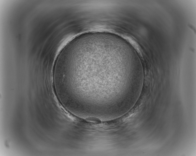 X0000096941191200802151207
