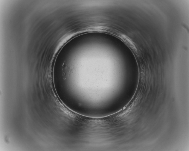 X0000096941192200802151207