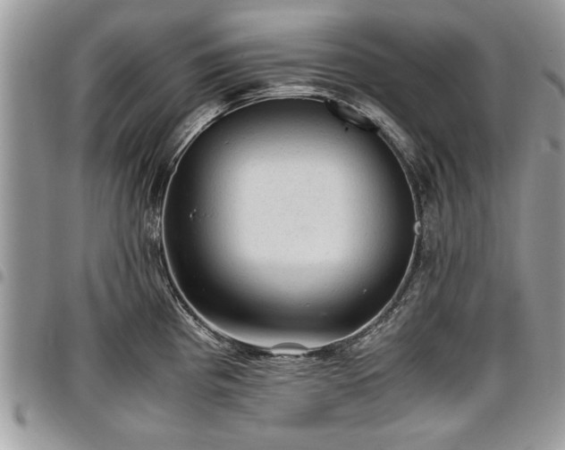 X0000096941193200802151207