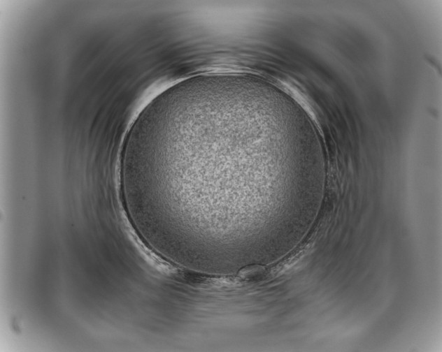 X0000096941195200802151207