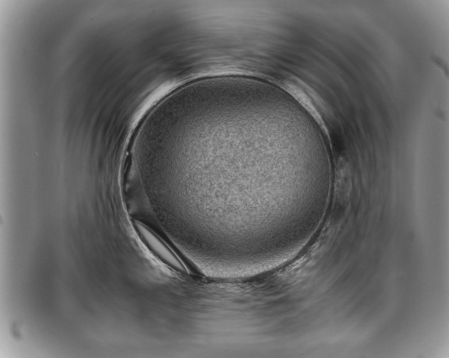 X0000096941197200802151207