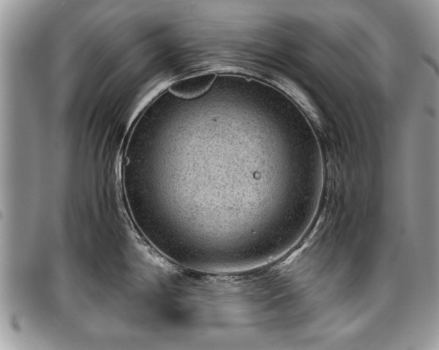 X0000096941198200802151207