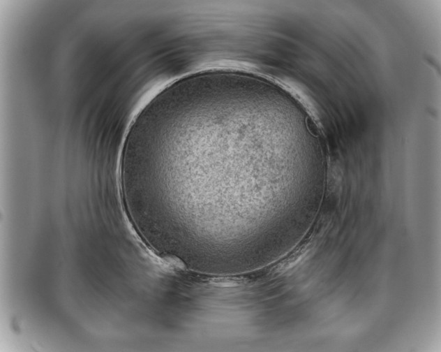X0000096941199200802151207