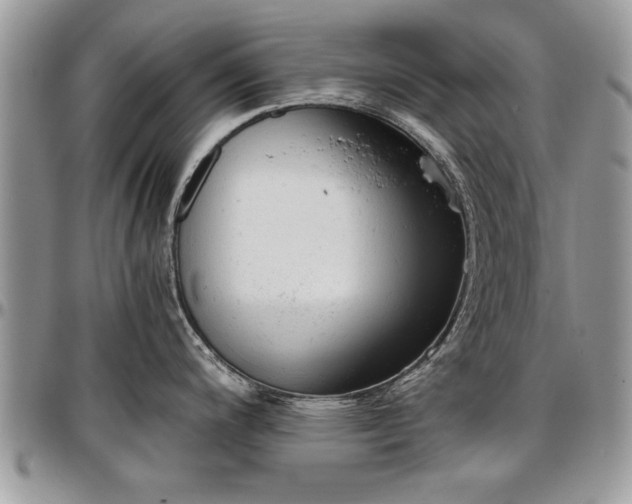X0000096941200200802151207
