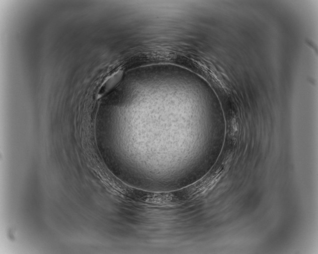 X0000096941201200802151207
