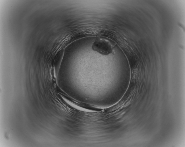 X0000096941202200802151207