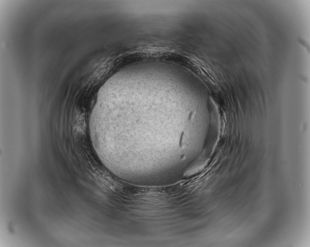 X0000096941204200802151207