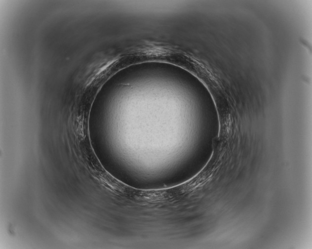 X0000096941205200802151207