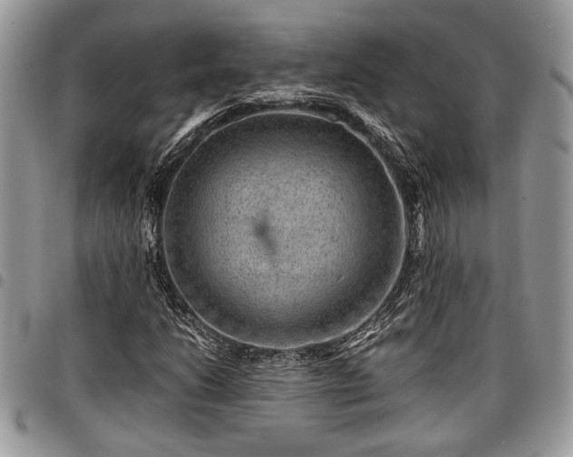 X0000096941206200802151207