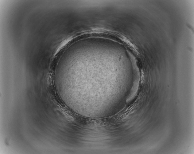 X0000096941208200802151207