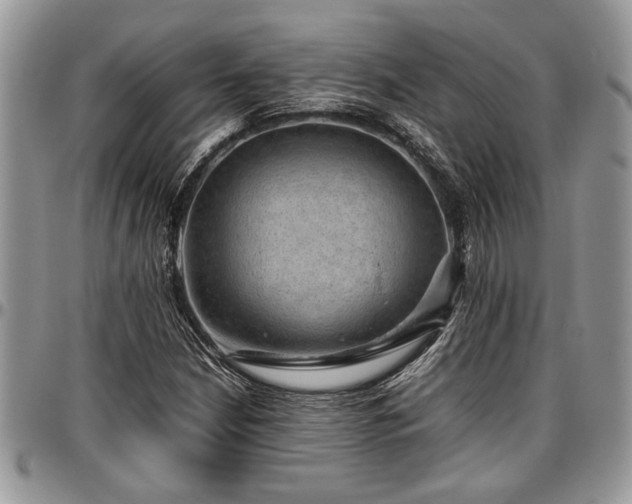 X0000096941210200802151207